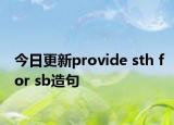 今日更新provide sth for sb造句