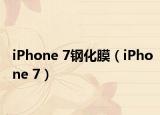 iPhone 7钢化膜（iPhone 7）