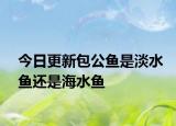 今日更新包公鱼是淡水鱼还是海水鱼