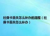 社保卡丢失怎么补办的流程（社保卡丢失怎么补办）