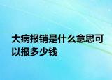 大病报销是什么意思可以报多少钱