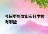 今日更新文山专科学校有哪些