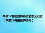 苹果12有指纹解锁功能怎么设置（苹果12有指纹解锁吗）