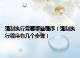 强制执行需要哪些程序（强制执行程序有几个步骤）