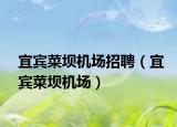 宜宾菜坝机场招聘（宜宾菜坝机场）