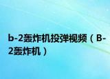 b-2轰炸机投弹视频（B-2轰炸机）
