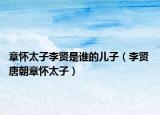章怀太子李贤是谁的儿子（李贤 唐朝章怀太子）