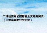 二婚萌妻老公甜甜爱全文免费阅读（二婚萌妻老公甜甜爱）