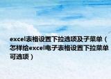 excel表格设置下拉选项及子菜单（怎样给excel电子表格设置下拉菜单可选项）