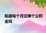 知道每个月交哪个公积金吗