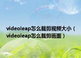 videoleap怎么裁剪视频大小（videoleap怎么裁剪画面）
