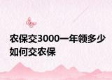 农保交3000一年领多少如何交农保