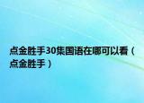 点金胜手30集国语在哪可以看（点金胜手）