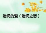 迷惘的爱（迷惘之恋）