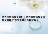 冬天用什么被子盖好（冬天盖什么被子保暖又舒服,广东冬天盖什么被子好）