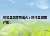 碧根果哪里最出名（碧根果哪里产的）