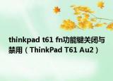 thinkpad t61 fn功能键关闭与禁用（ThinkPad T61 Au2）