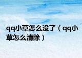 qq小草怎么没了（qq小草怎么清除）