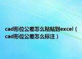 cad形位公差怎么粘贴到excel（cad形位公差怎么标注）