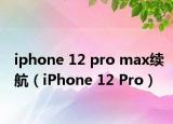 iphone 12 pro max续航（iPhone 12 Pro）