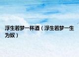 浮生若梦一杯酒（浮生若梦一生为奴）