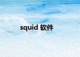 squid 软件