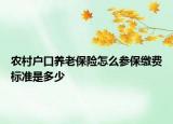 农村户口养老保险怎么参保缴费标准是多少