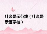 什么是示范线（什么是示范学校）