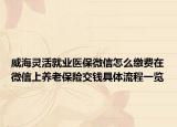 威海灵活就业医保微信怎么缴费在微信上养老保险交钱具体流程一览
