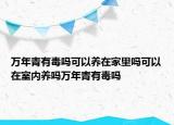 万年青有毒吗可以养在家里吗可以在室内养吗万年青有毒吗