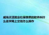 威海灵活就业社保缴费的软件叫什么名字网上交钱怎么操作