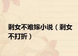 剩女不难嫁小说（剩女不打折）