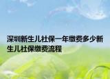 深圳新生儿社保一年缴费多少新生儿社保缴费流程