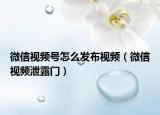微信视频号怎么发布视频（微信视频泄露门）