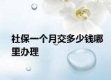 社保一个月交多少钱哪里办理
