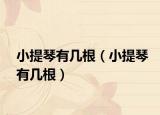 小提琴有几根（小提琴有几根）