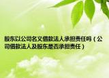 股东以公司名义借款法人承担责任吗（公司借款法人及股东是否承担责任）