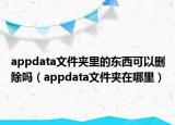 appdata文件夹里的东西可以删除吗（appdata文件夹在哪里）