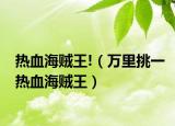 热血海贼王!（万里挑一热血海贼王）