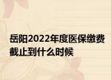 岳阳2022年度医保缴费截止到什么时候