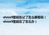 vivox9密码忘记了怎么解密码（vivox9密码忘了怎么办）