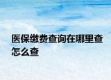 医保缴费查询在哪里查怎么查