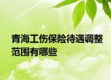 青海工伤保险待遇调整范围有哪些