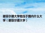 谢菲尔德大学相当于国内什么大学（谢菲尔德大学）