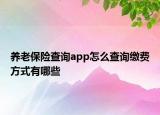 养老保险查询app怎么查询缴费方式有哪些