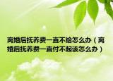 离婚后抚养费一直不给怎么办（离婚后抚养费一直付不起该怎么办）
