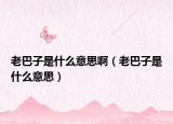 老巴子是什么意思啊（老巴子是什么意思）