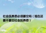 社会抚养费必须要交吗（现在还要不要交社会抚养费）