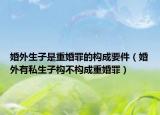 婚外生子是重婚罪的构成要件（婚外有私生子构不构成重婚罪）