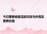 今日更新哈密瓜的功效与作用及营养价值